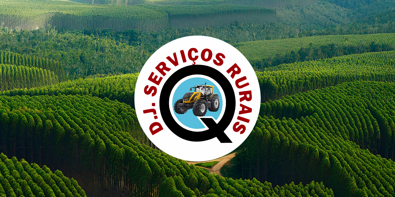 logo DJ e paisagem de floresta de eucaliptos ao fundo